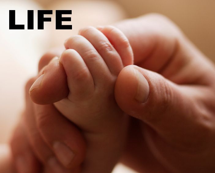 Life-01.jpg